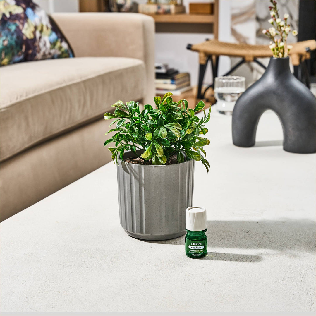 Plant Diffuser - Boxwood Plant - Ribbed Gray