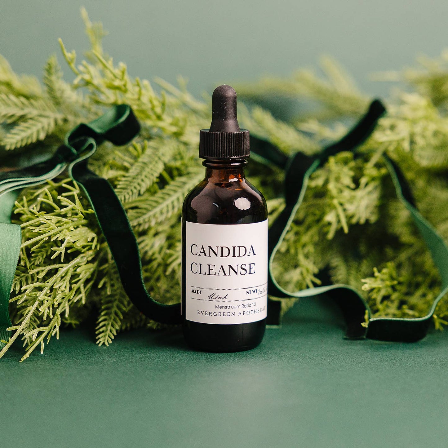 Candida Cleanse, Tincture, 2oz 