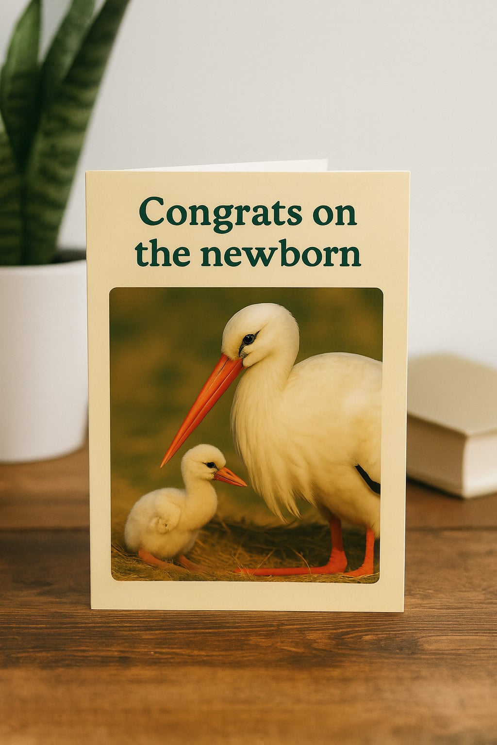Word Play Greeting Cards