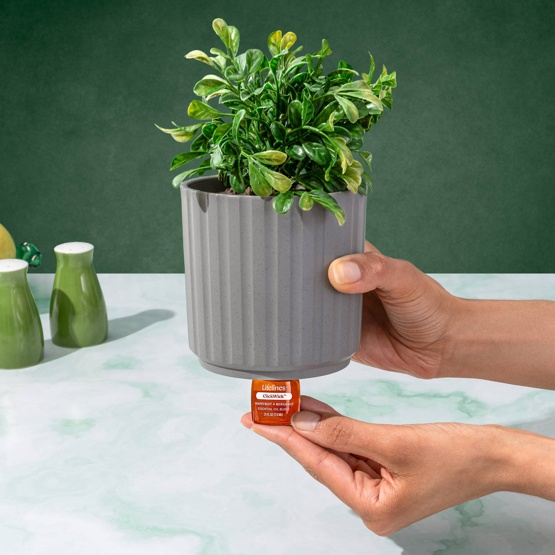 ClickWick Citrus Refill-For Candle/Plant/Shower Diffusers