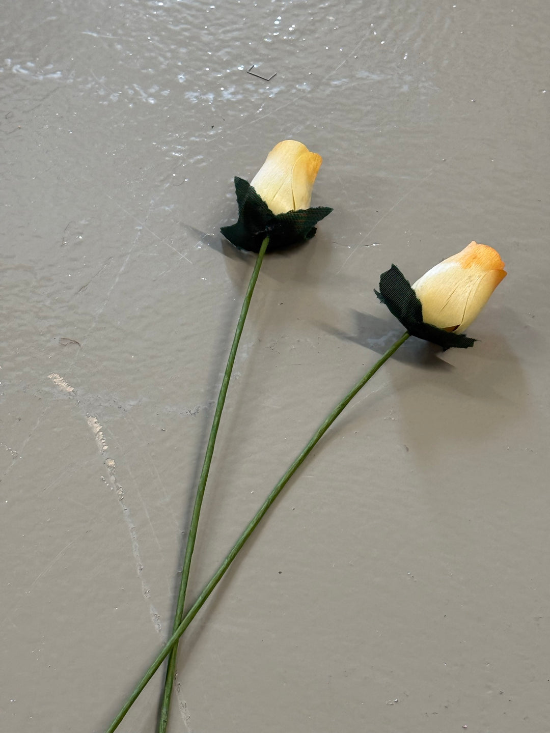 Peach Tipped wooden rose